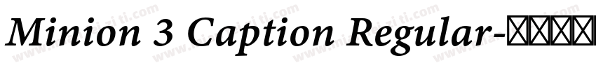 Minion 3 Caption Regular字体转换